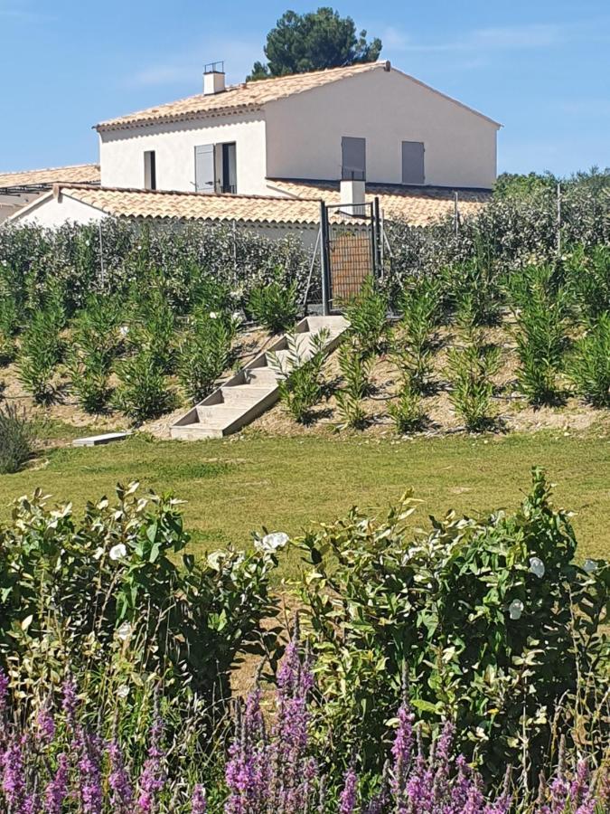 Villa Mont Ventoux: Luxury Retreat with Private Pool and Provençal Views Malaucene Exterior photo